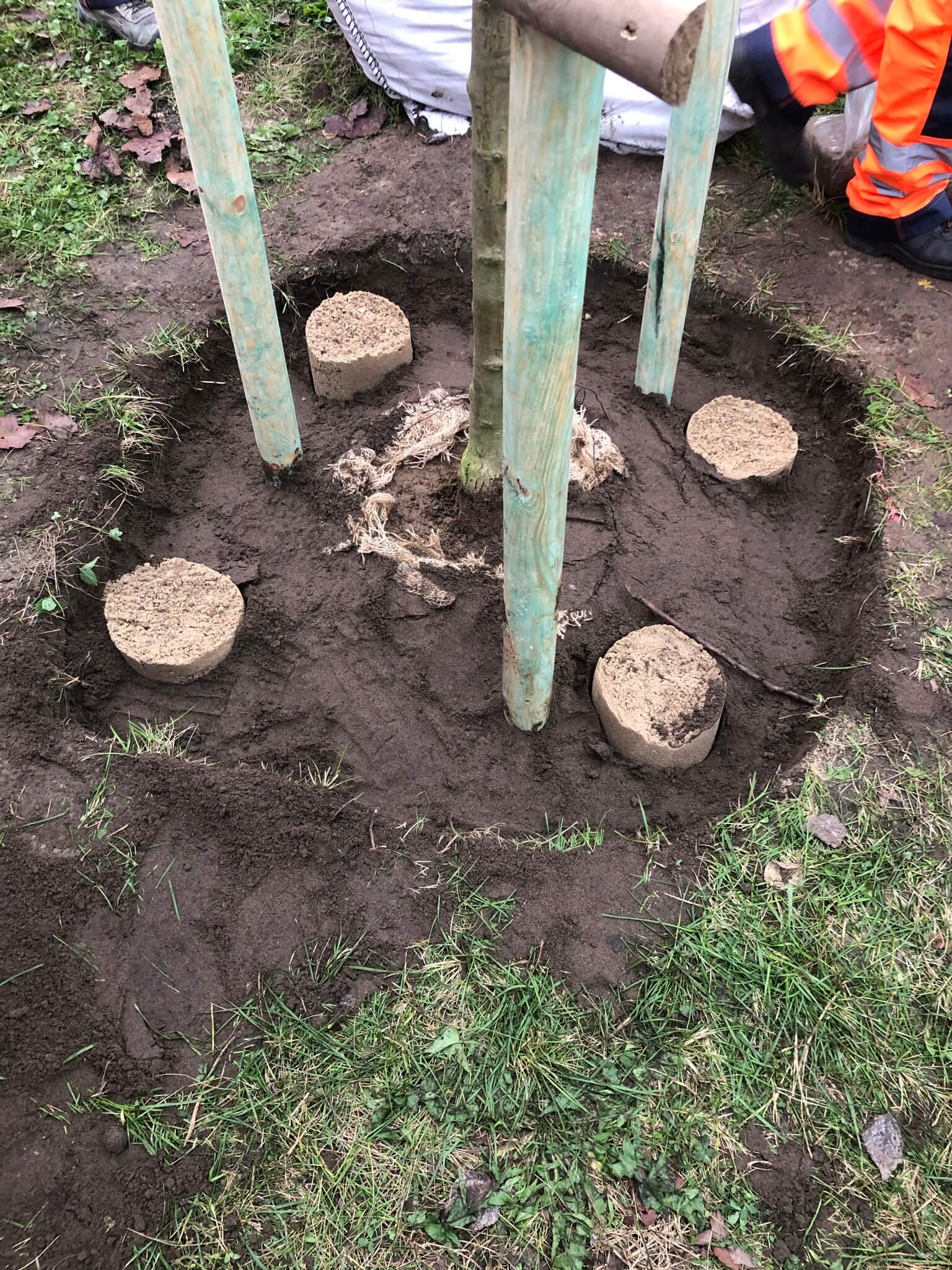 Pulling test w ocenie stabilności drzew