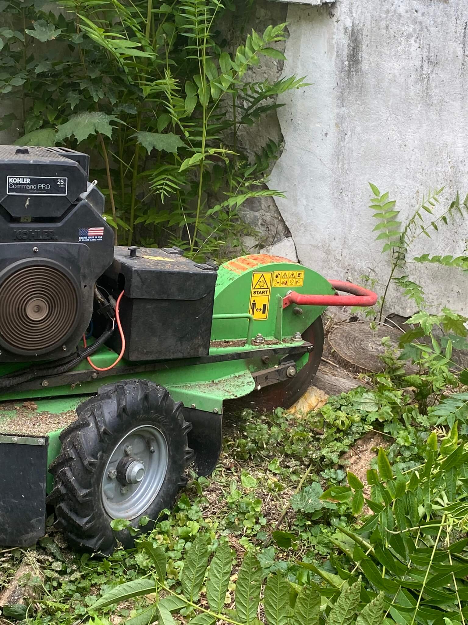 Badanie drzew Arborsonic 3D