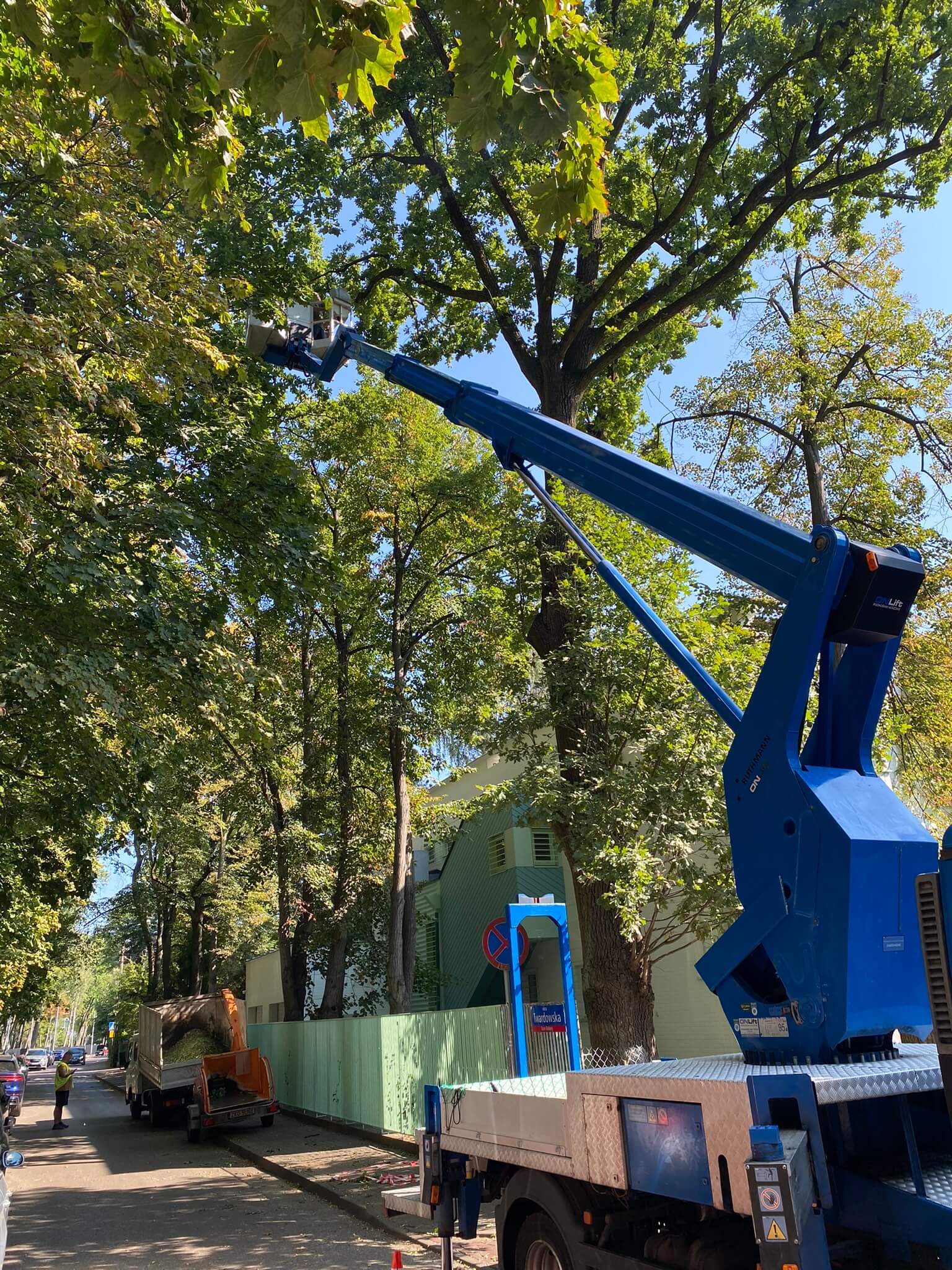 Rewitalizacja terenów zieleni