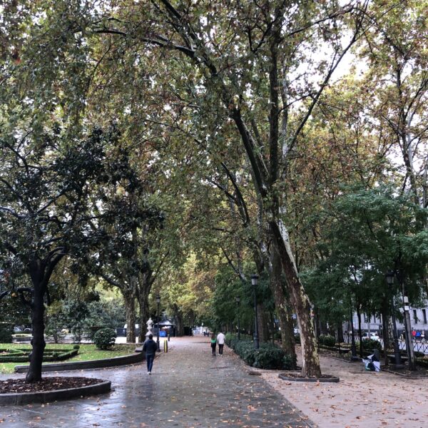 Inwentaryzacja zieleni, inwentaryzacja drzew i krzewów, inwentaryzacja zieleni w zwarszawie